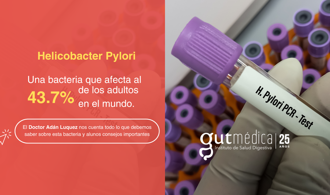 ¿Qué es el Helicobacter pylori y por qué es importante?